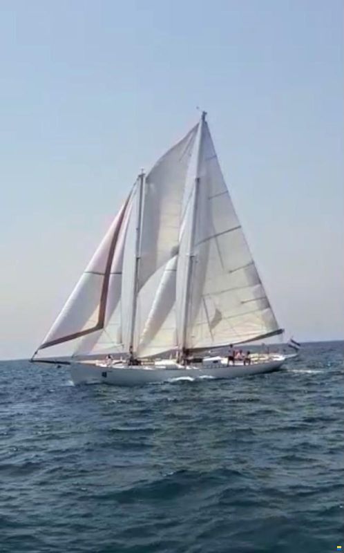 Ambrosi Sciarelli 50