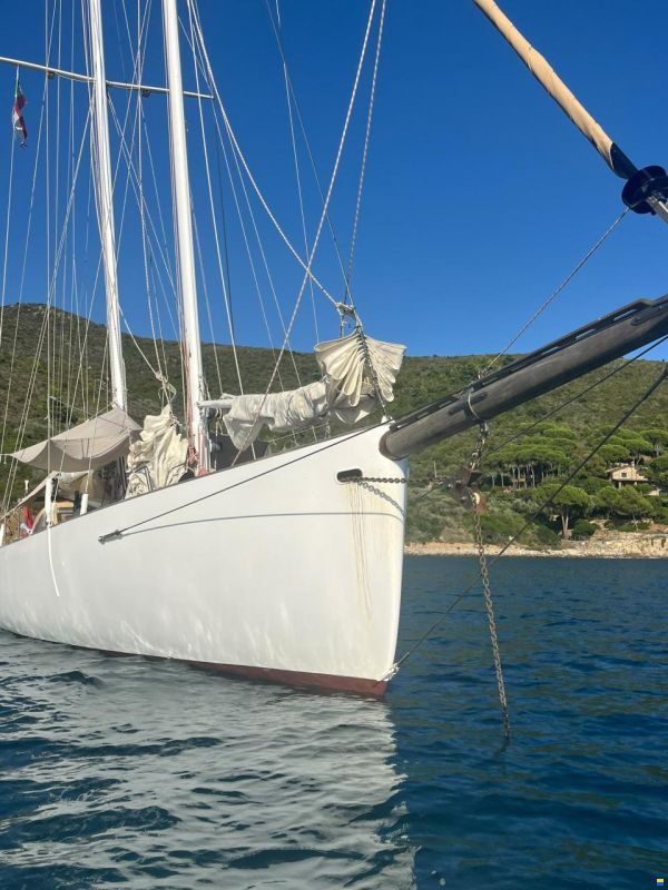 Ambrosi Sciarelli 50