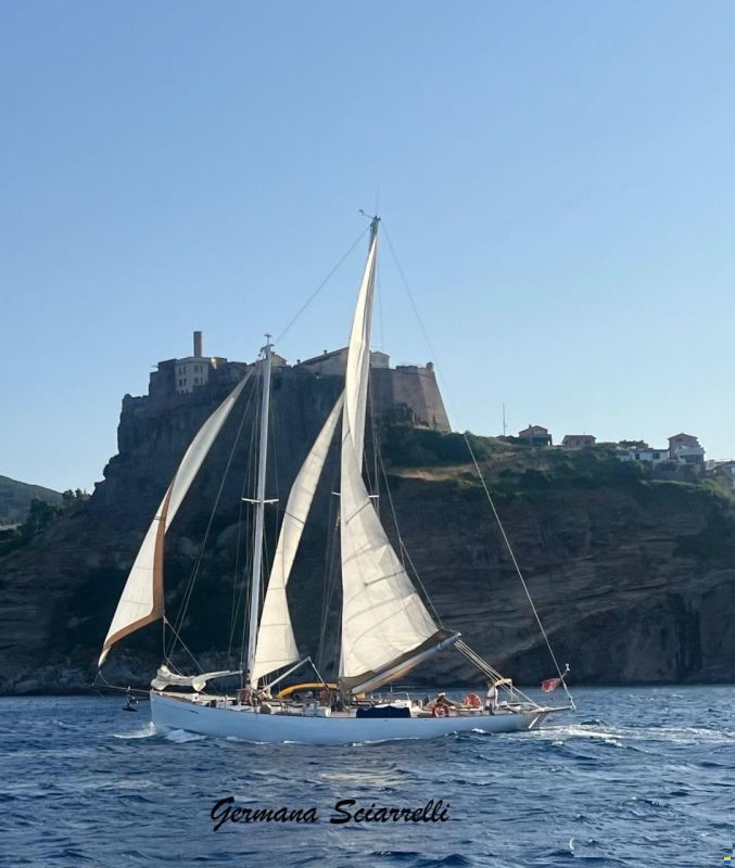 Ambrosi Sciarelli 50