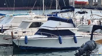 Bertram Yacht 28 flybridge