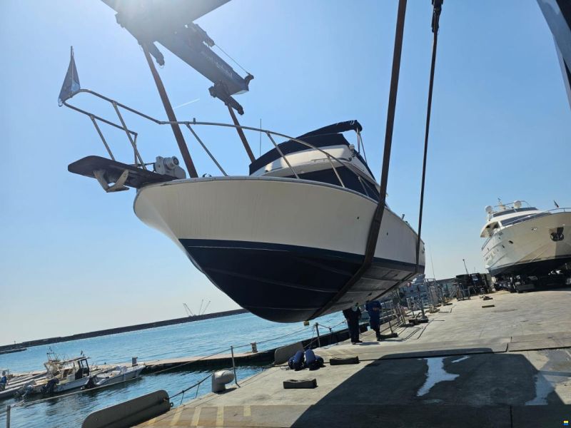 Bertram Yacht 28 flybridge