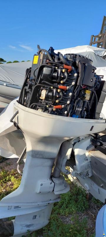 Evinrude 200