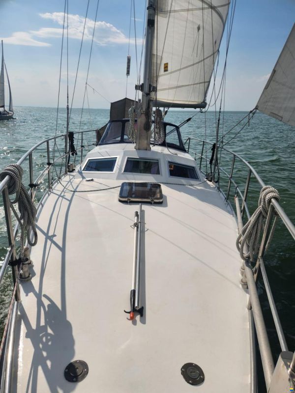 Reinke 10M