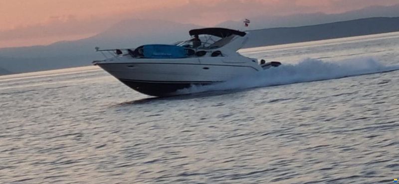 Bayliner 3055 Cierra