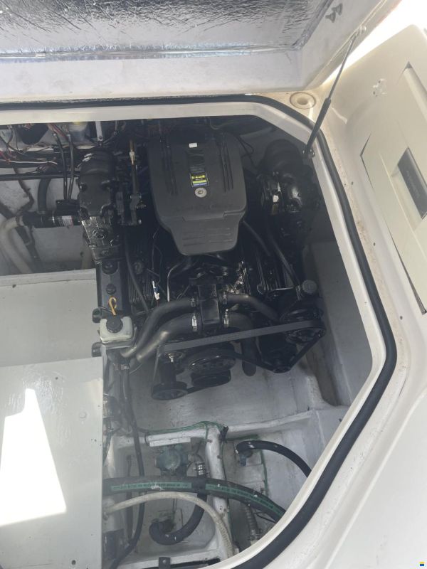 Bayliner 3055 Cierra