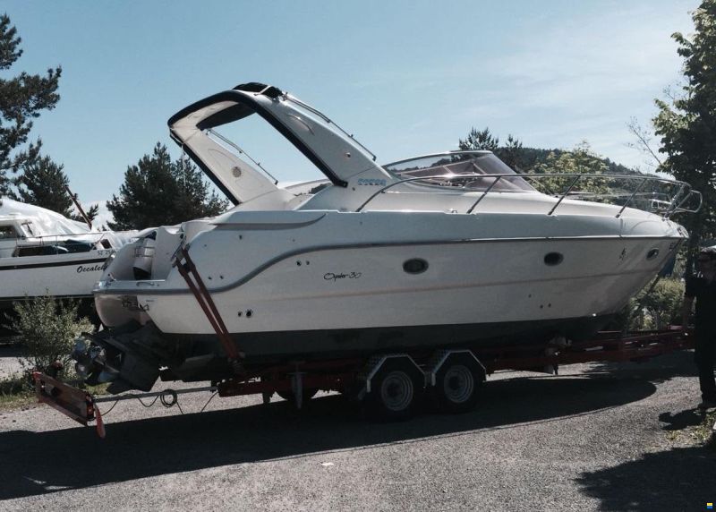 Sessa Oyster 30