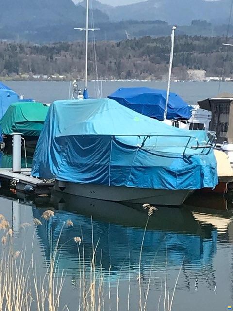 Sessa Oyster 30