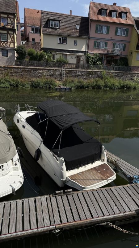 Sea Ray er 255