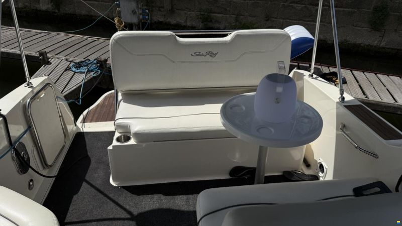 Sea Ray er 255