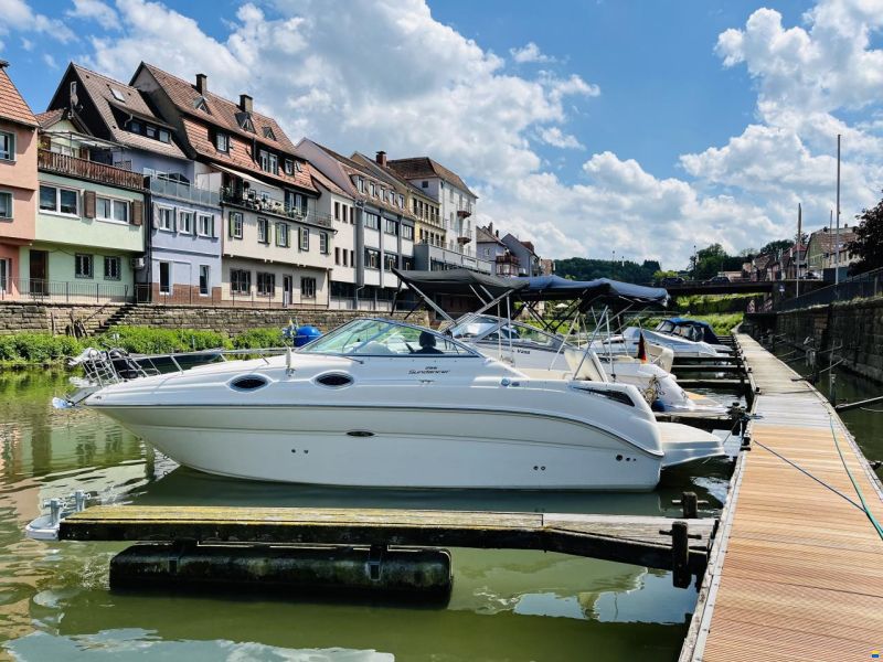 Sea Ray er 255