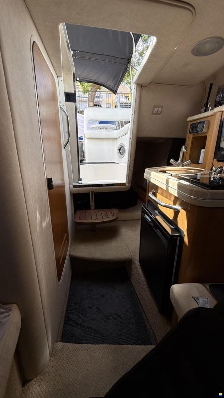 Sea Ray er 255