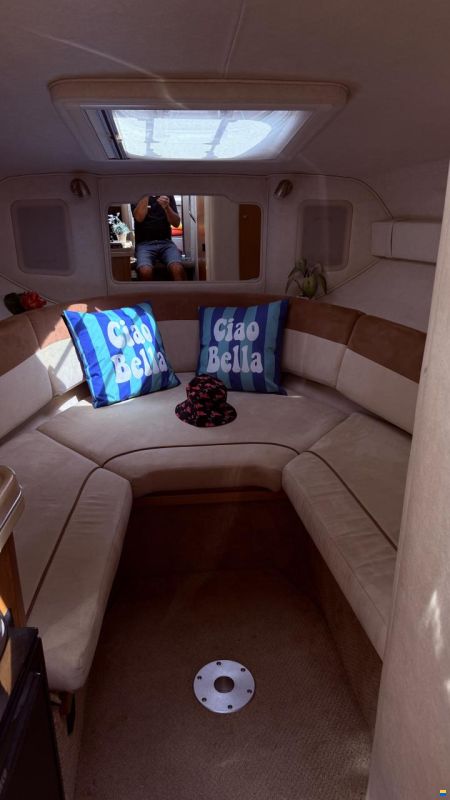 Sea Ray er 255
