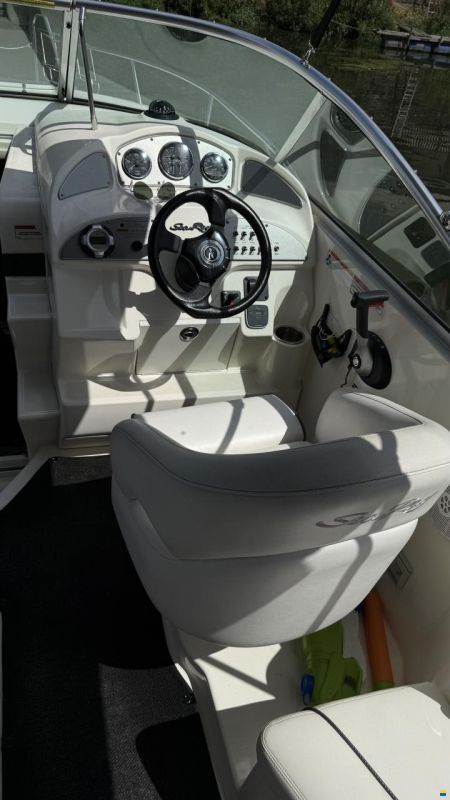 Sea Ray er 255