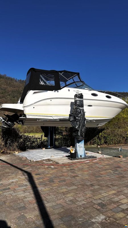 Sea Ray er 255
