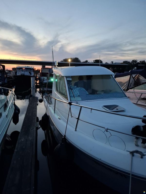 Sessa Dorado 28