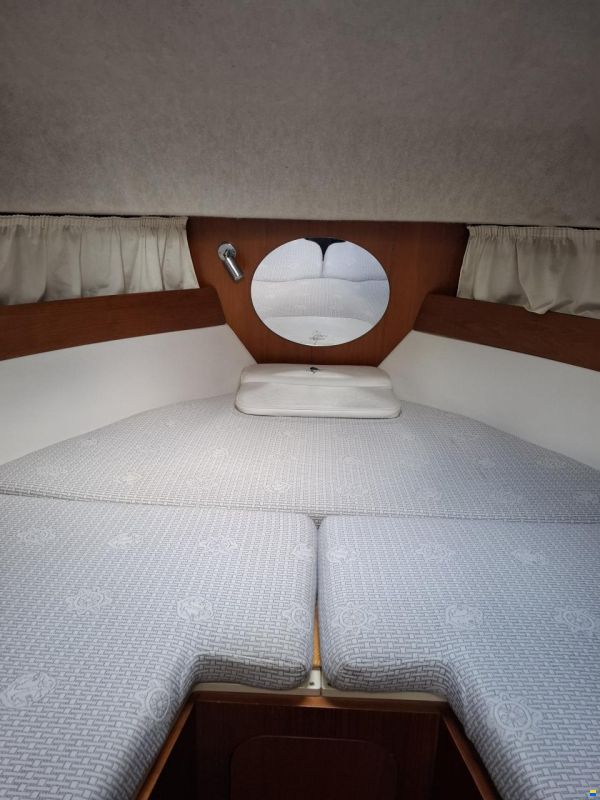 Sessa Dorado 28