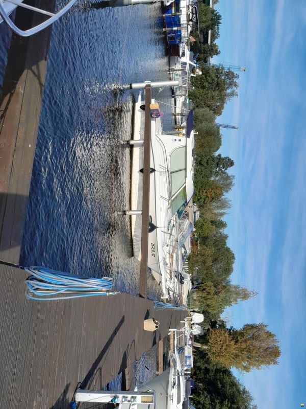 Sessa Dorado 28