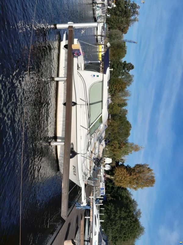 Sessa Dorado 28