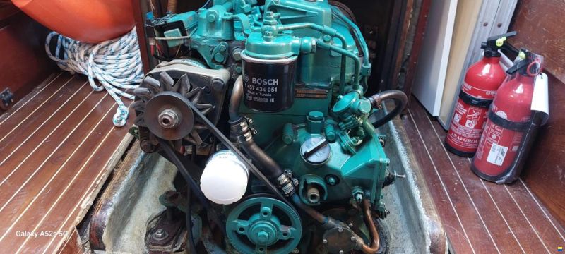 Artmare Cat 33