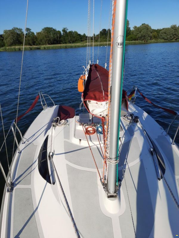 Deltania 20.5 Sport Performance Cruiser
