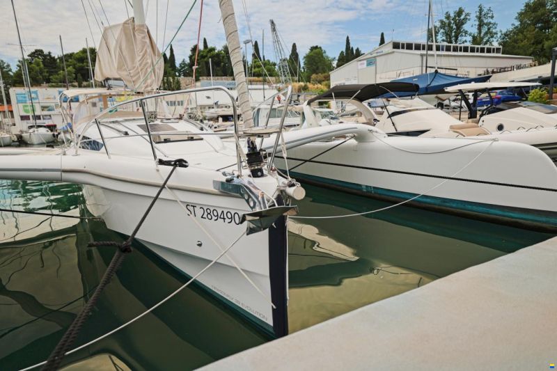 Dragonfly 32 Evolution