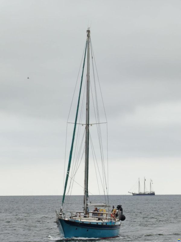 CSY 44 Walkover