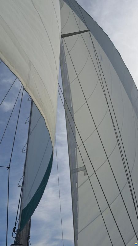 CSY 44 Walkover