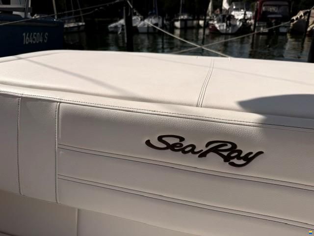 Sea Ray 190 SPX
