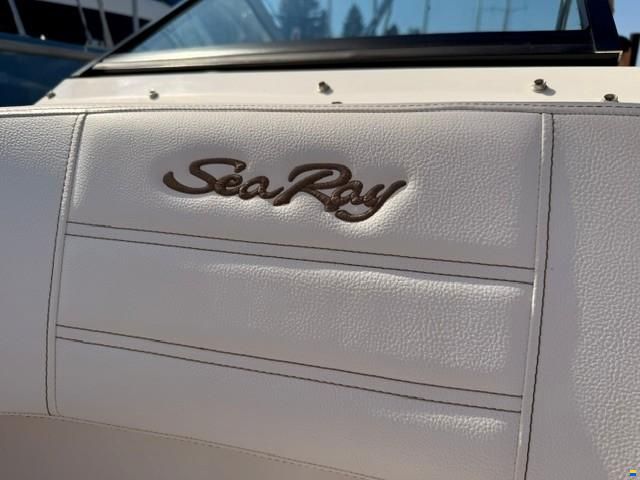 Sea Ray 190 SPX