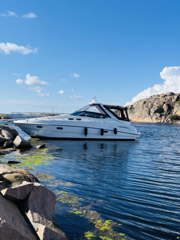 Sealine 38 Sport Open