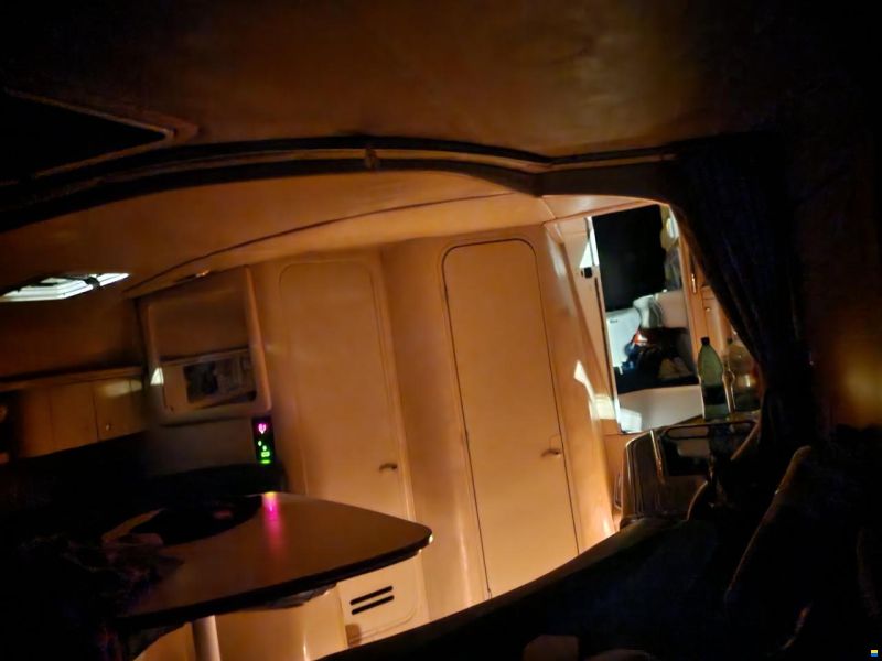 Sea Ray 310