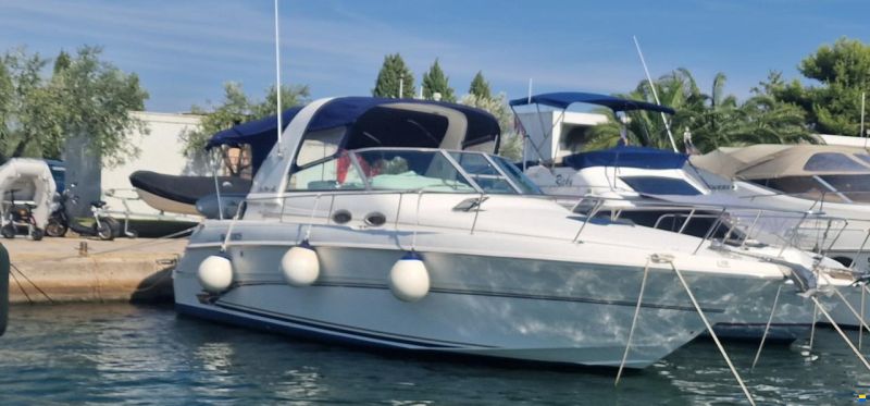 Sea Ray 310