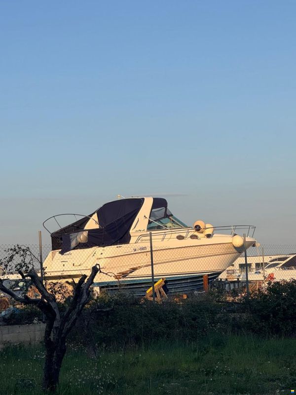 Sea Ray 310