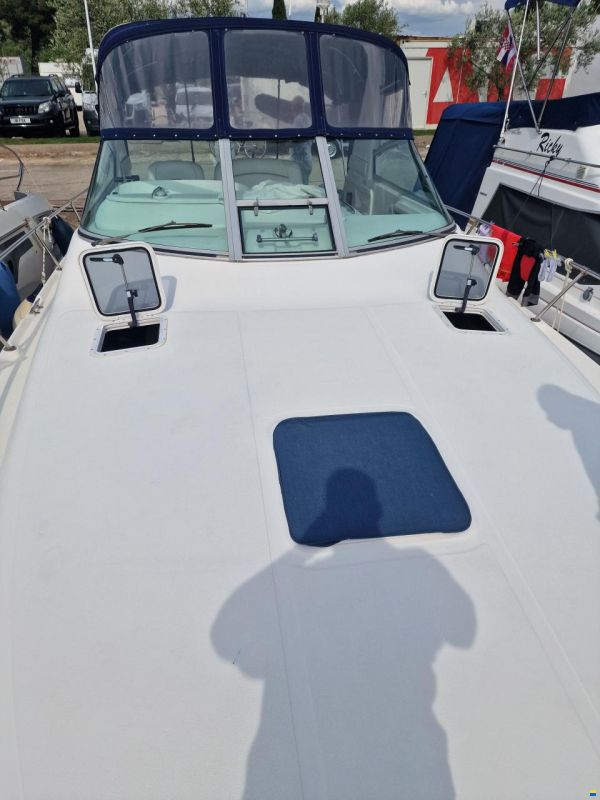 Sea Ray 310