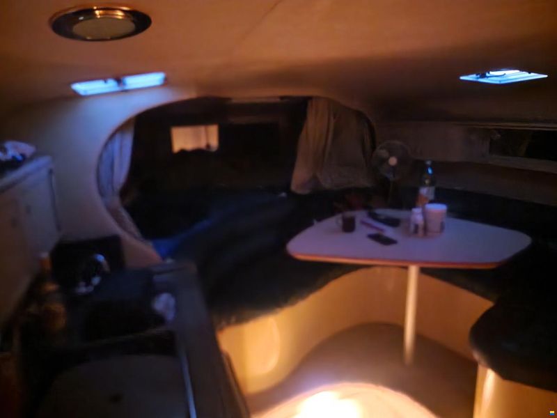 Sea Ray 310