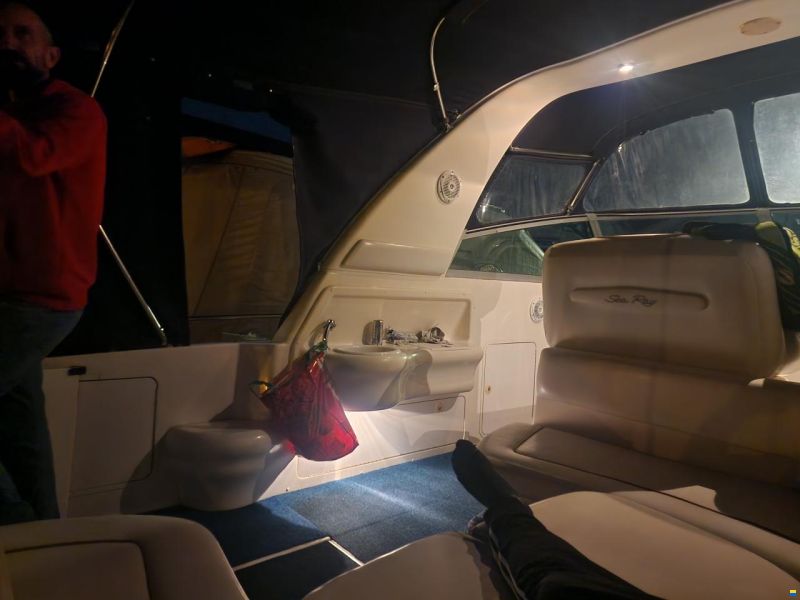Sea Ray 310