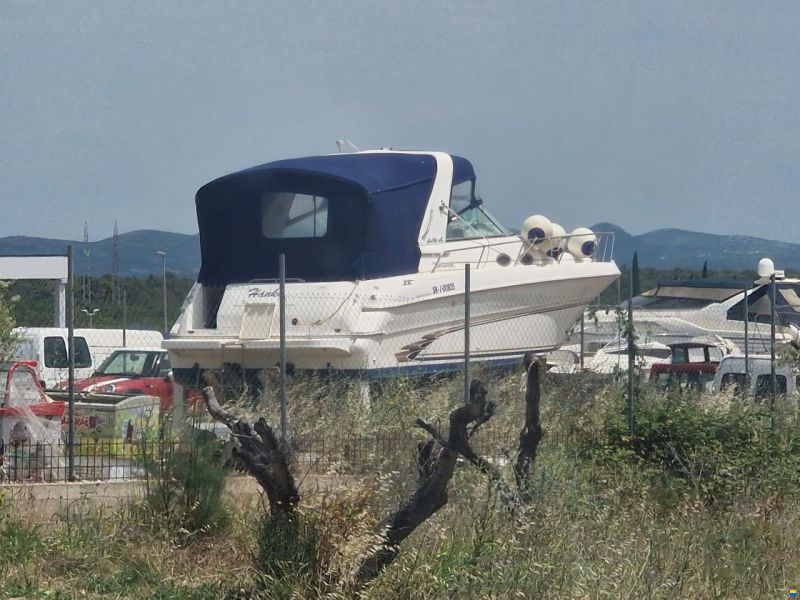 Sea Ray 310