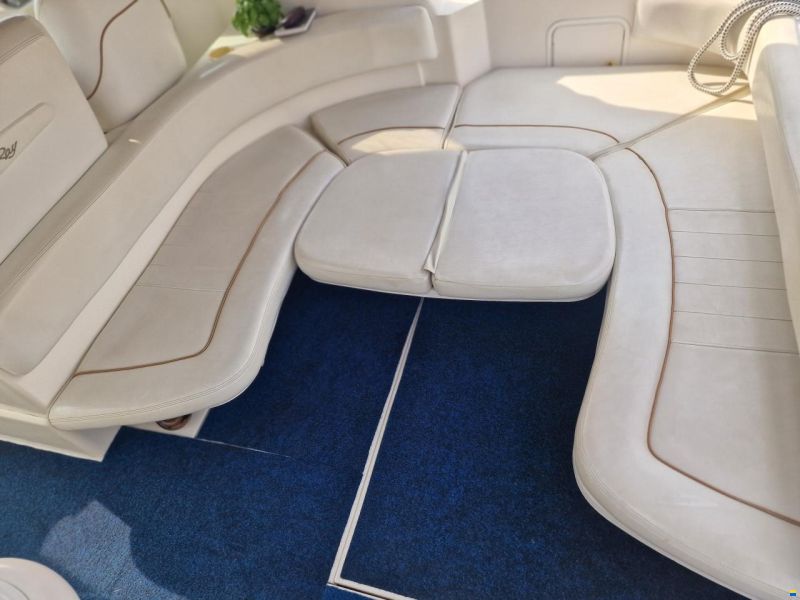 Sea Ray 310