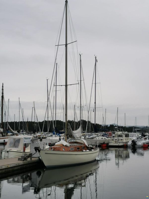 Vind&ouml; 50