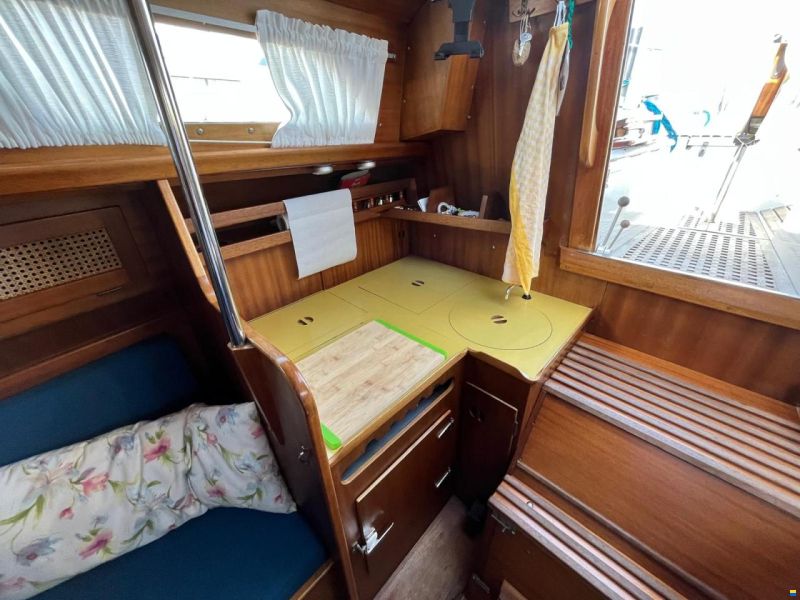 Bianca Commander 31