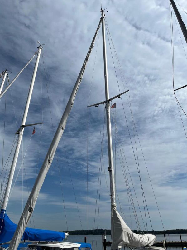 Bianca Commander 31