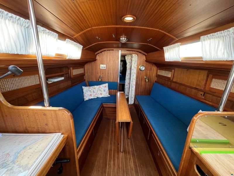 Bianca Commander 31