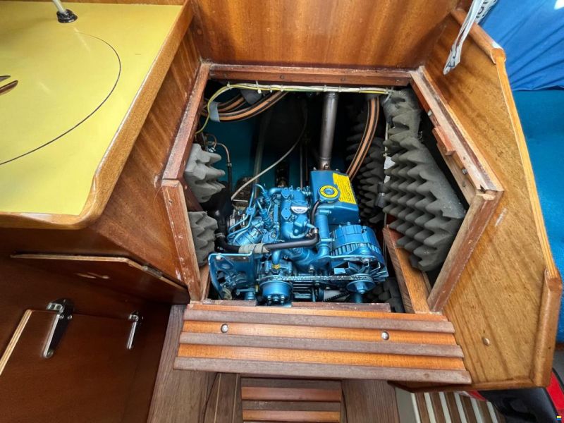 Bianca Commander 31