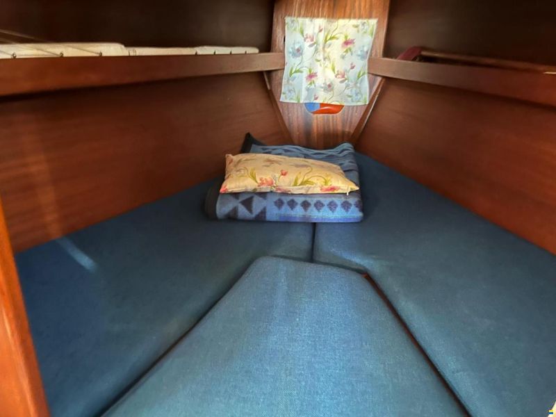 Bianca Commander 31