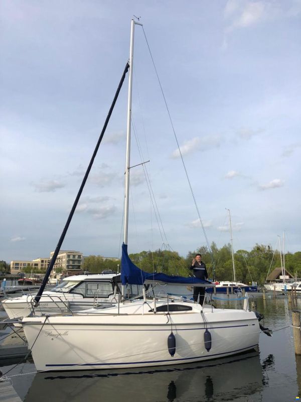 Viko 23