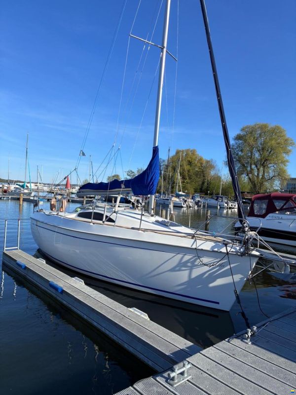 Viko 23