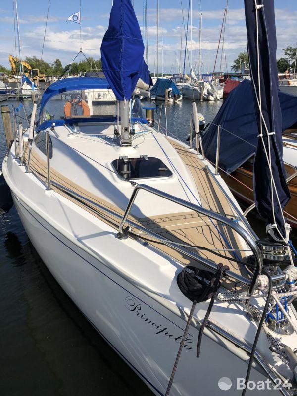 Viko 23