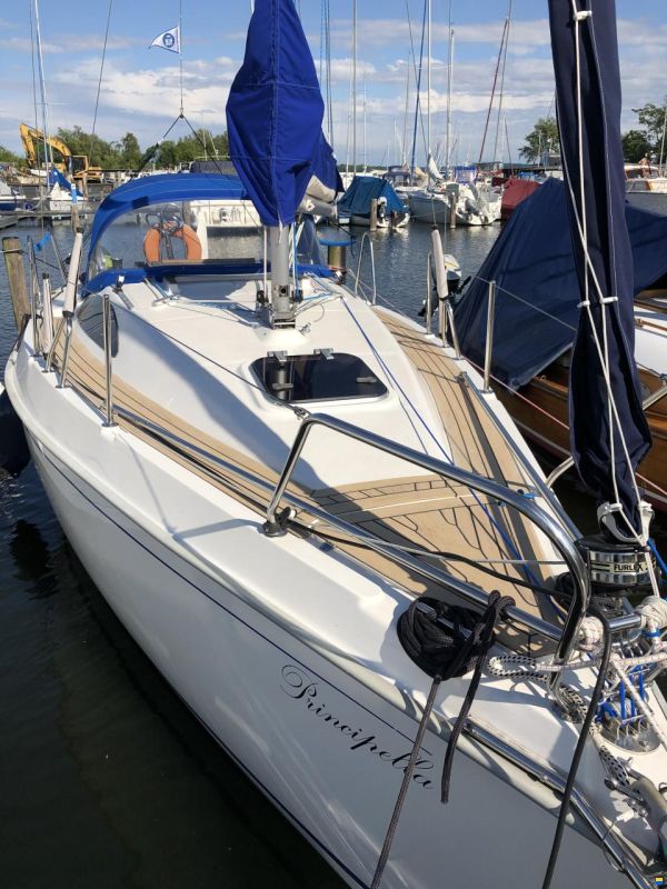 Viko 23