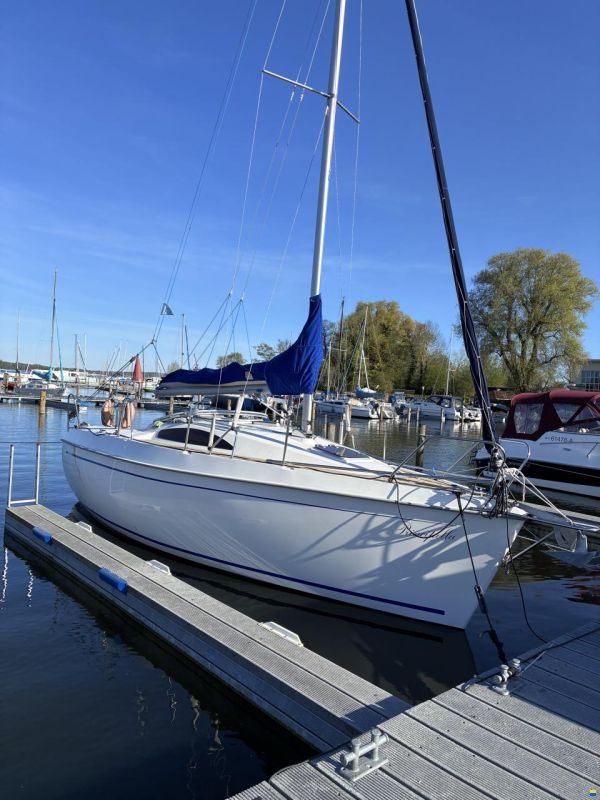 Viko 23