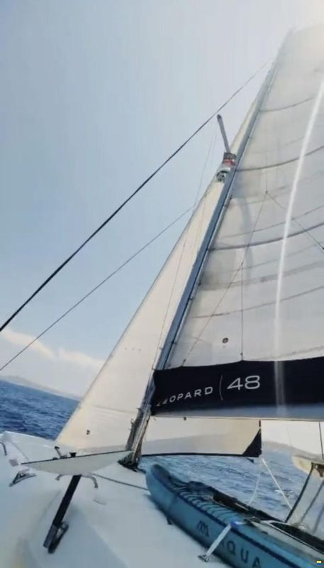 Leopard 48